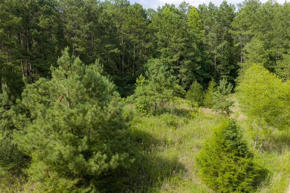 County Road 4117 Overton, TX 75684
