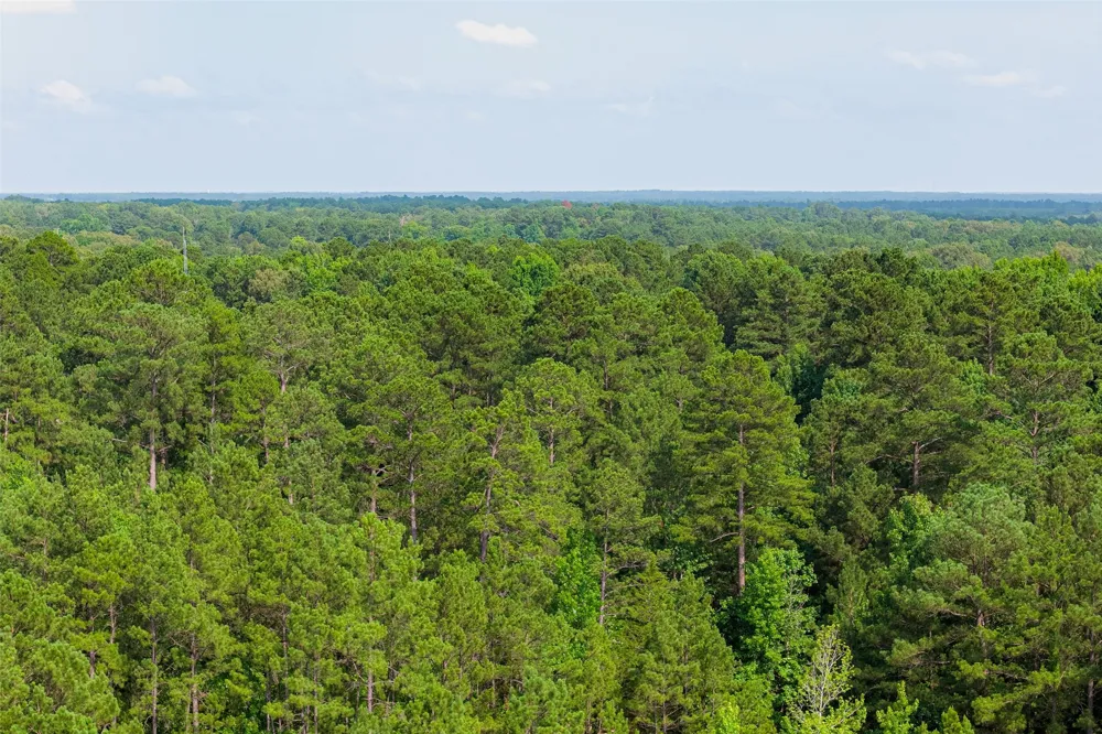 County Road 4117 Overton, TX 75684