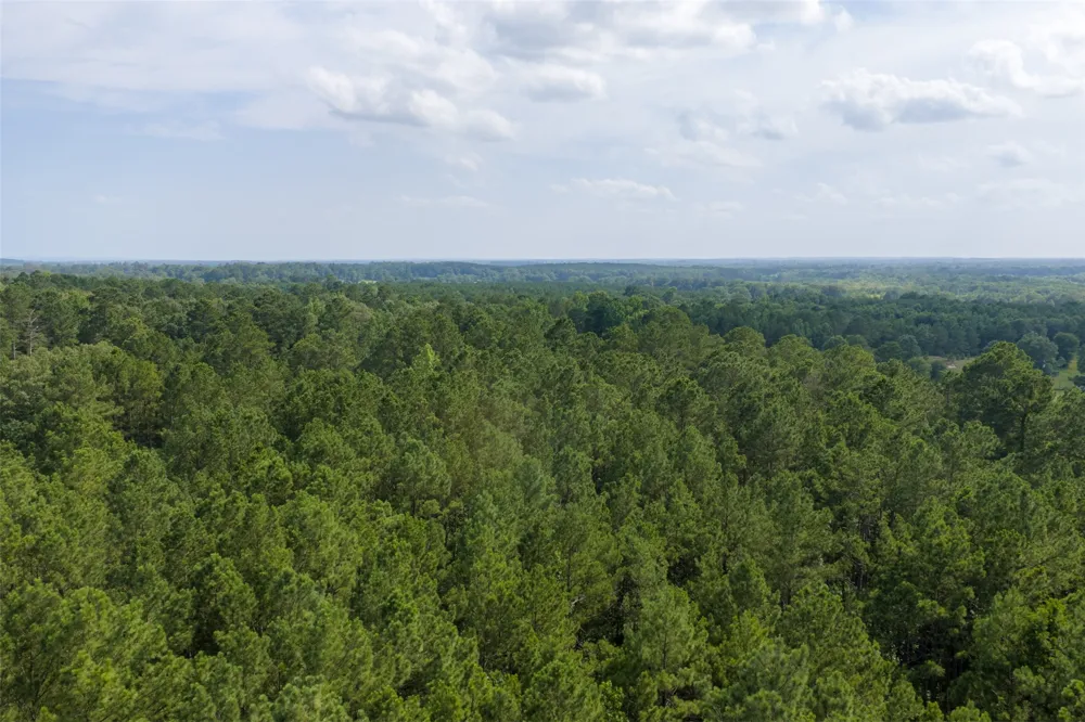 County Road 4117 Overton, TX 75684