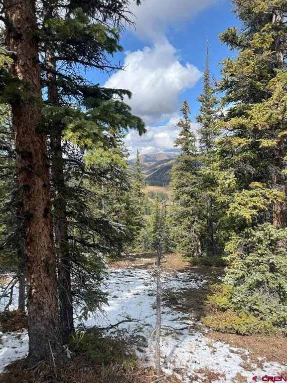 400 Forest Service Road 550 Road Almont, CO 81210