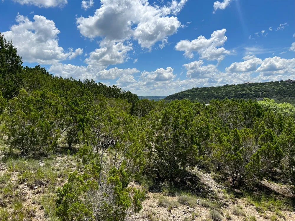 2600 Whitewater Drive Bertram, TX 78605