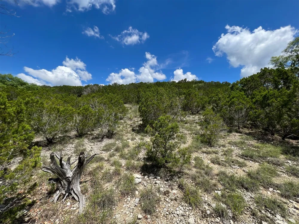 2600 Whitewater Drive Bertram, TX 78605