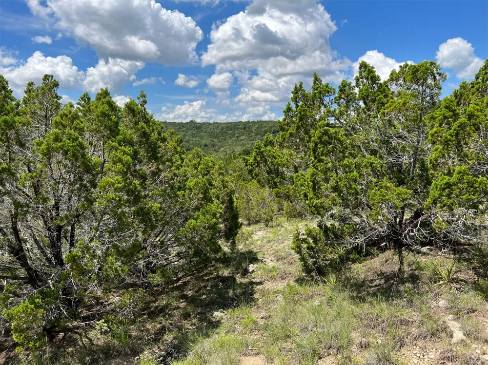 2600 Whitewater Drive Bertram, TX 78605