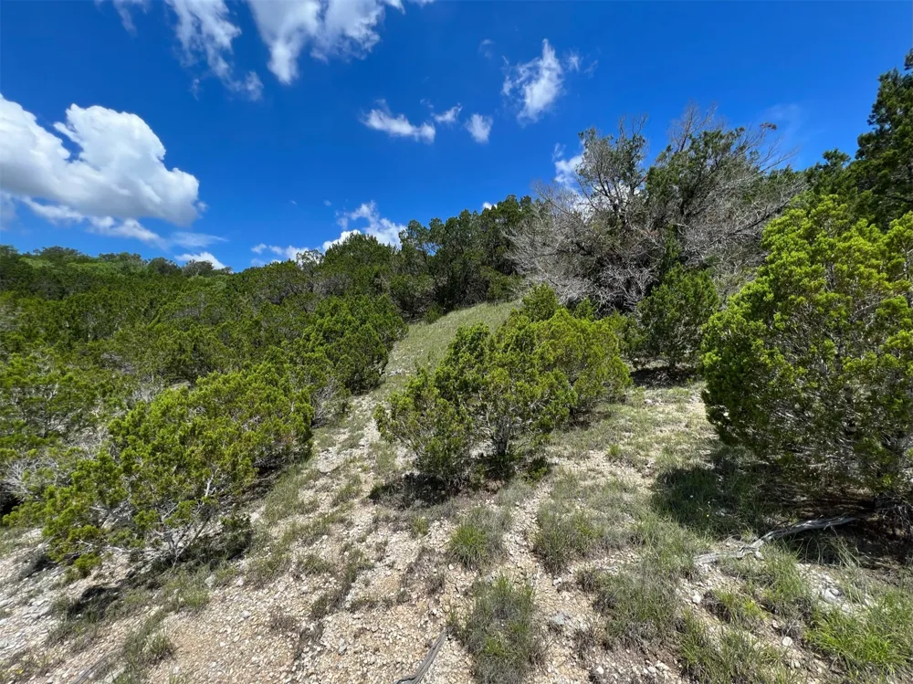 2600 Whitewater Drive Bertram, TX 78605