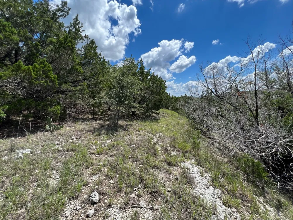 2600 Whitewater Drive Bertram, TX 78605