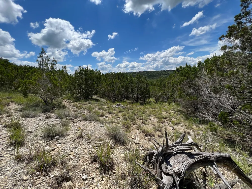 2600 Whitewater Drive Bertram, TX 78605