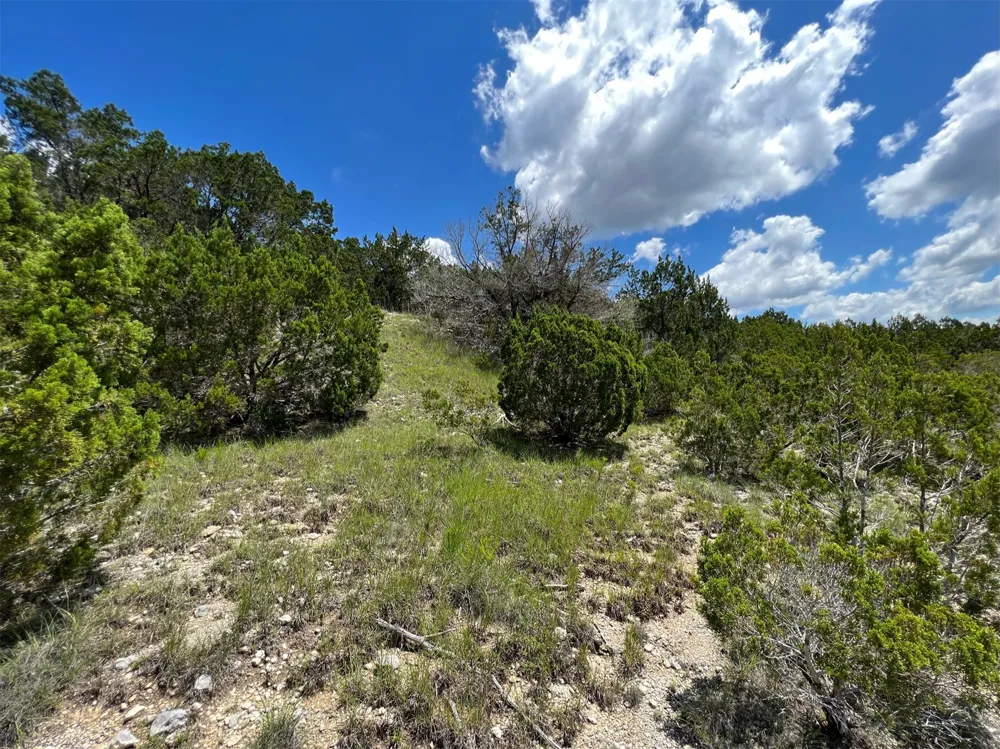 2600 Whitewater Drive Bertram, TX 78605