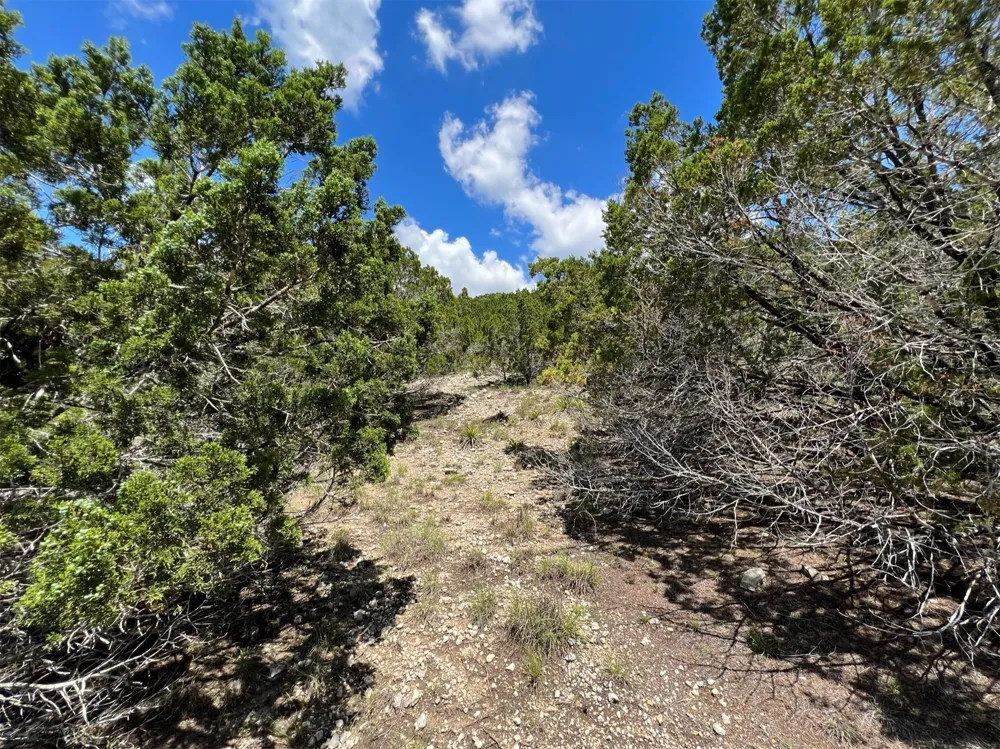 2600 Whitewater Drive Bertram, TX 78605