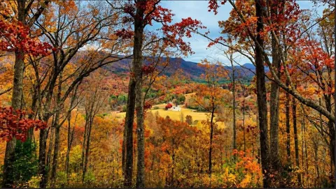 20 Fly Cast Overlook