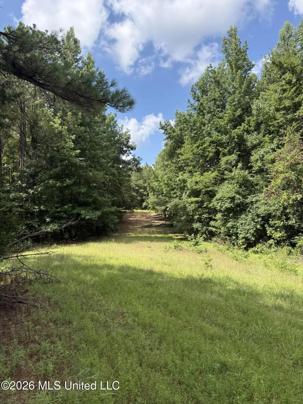 Highway 407 Kilmichael, MS 39747