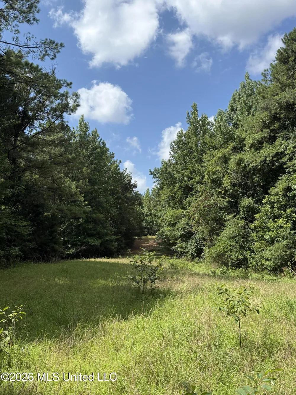Highway 407 Kilmichael, MS 39747