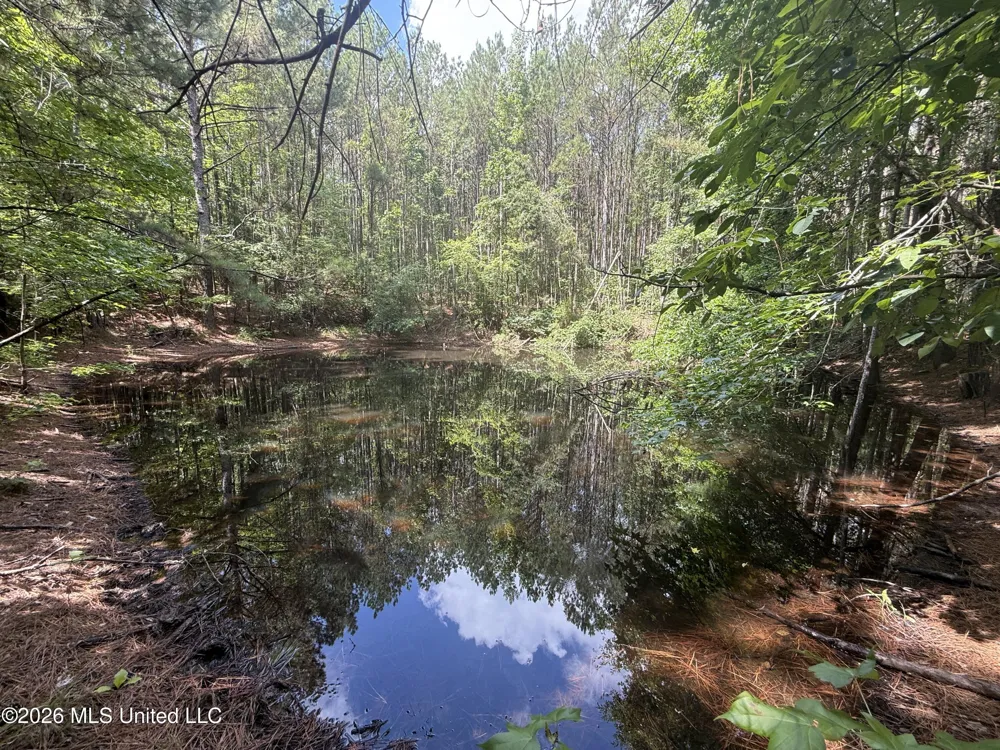 Highway 407 Kilmichael, MS 39747