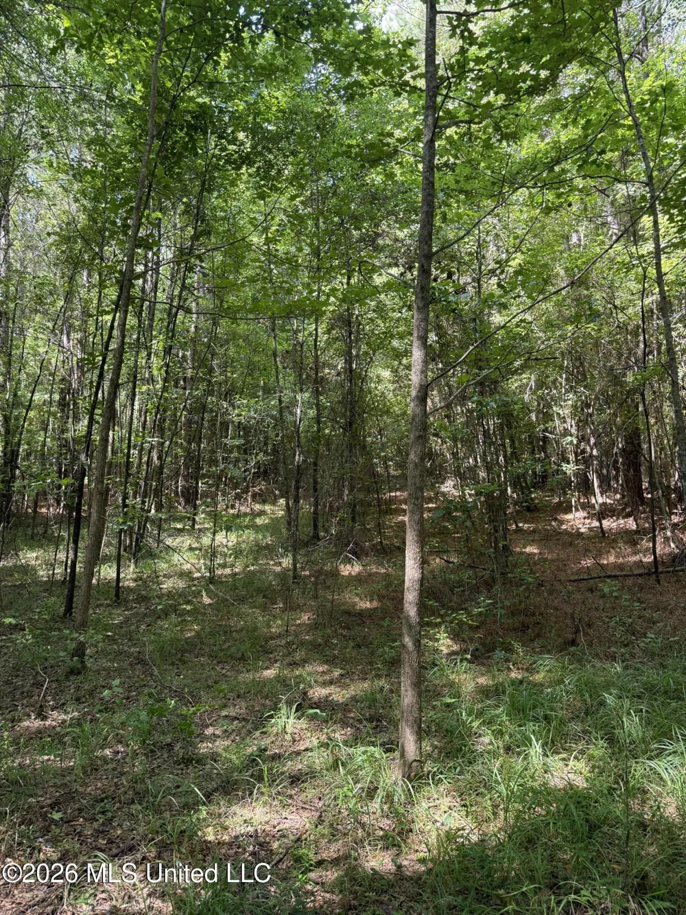 Highway 407 Kilmichael, MS 39747