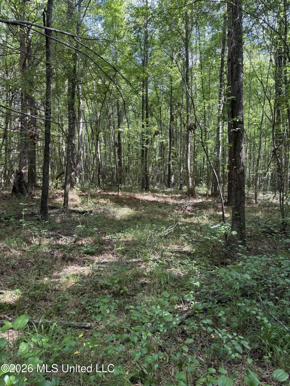 Highway 407 Kilmichael, MS 39747