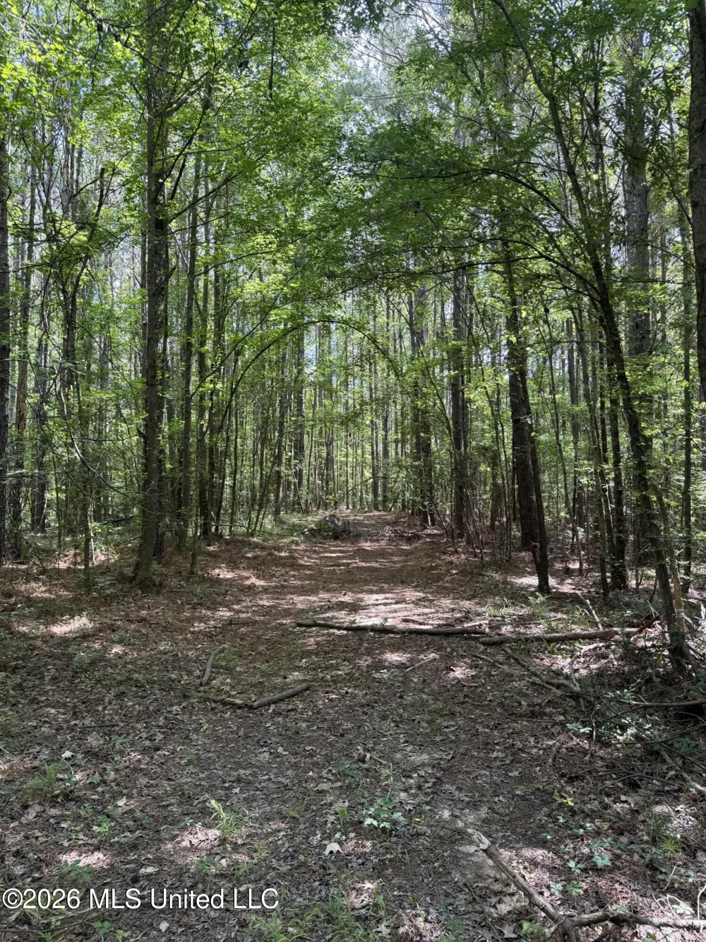 Highway 407 Kilmichael, MS 39747