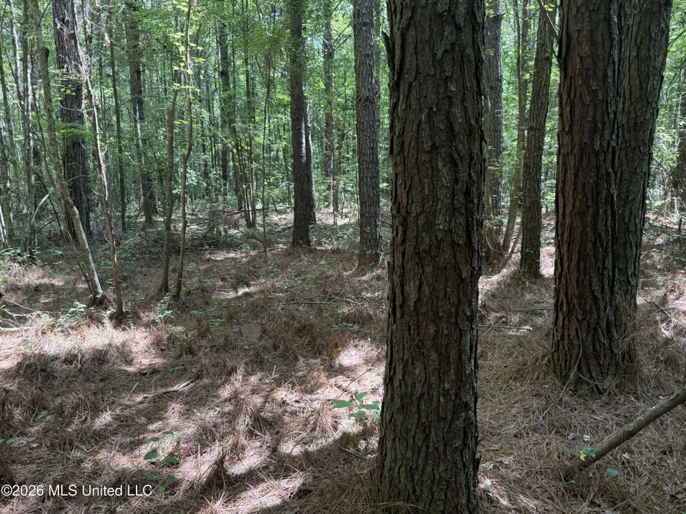 Highway 407 Kilmichael, MS 39747