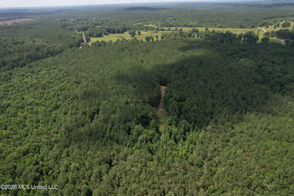 Highway 407 Kilmichael, MS 39747