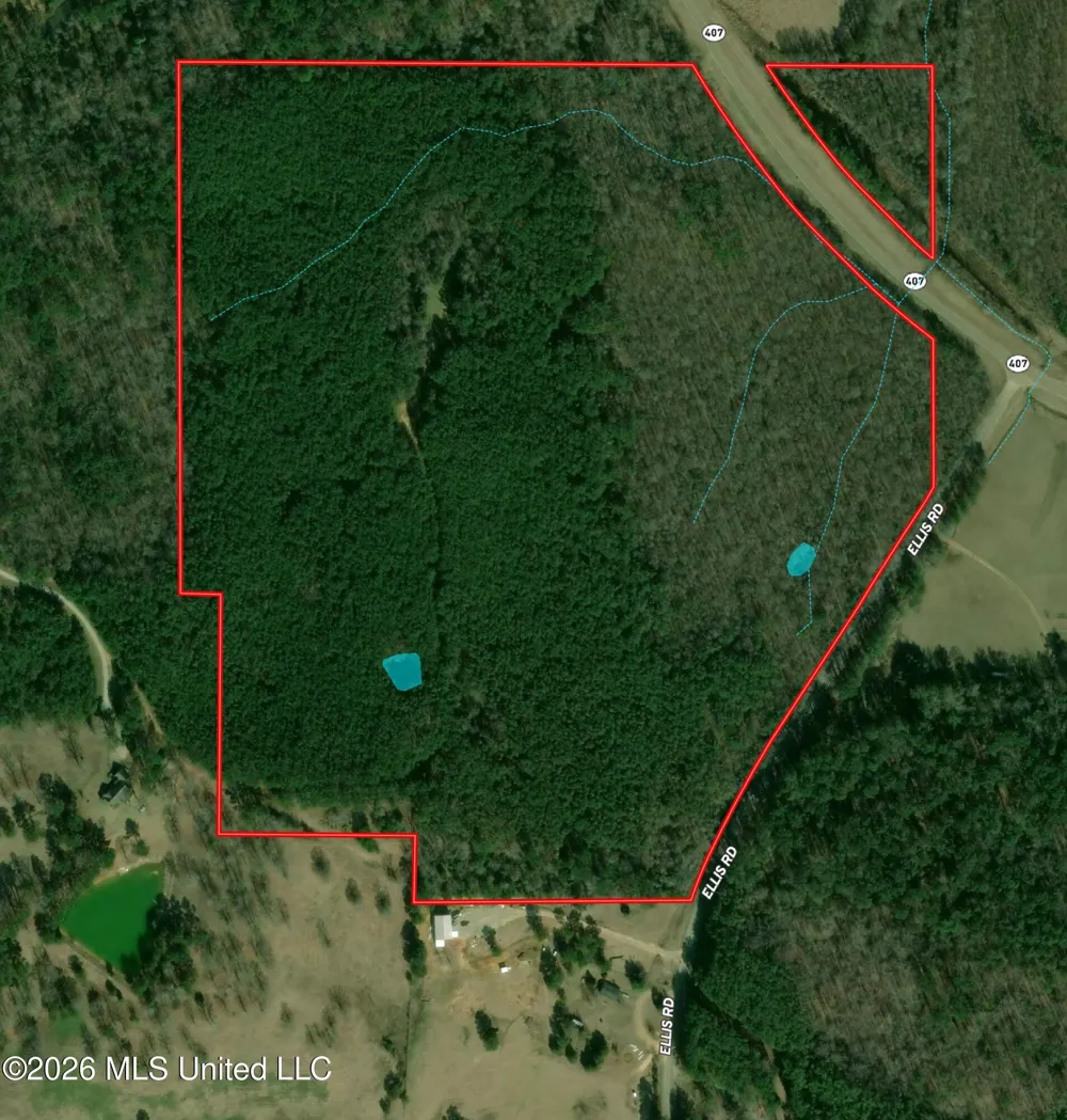 Highway 407 Kilmichael, MS 39747
