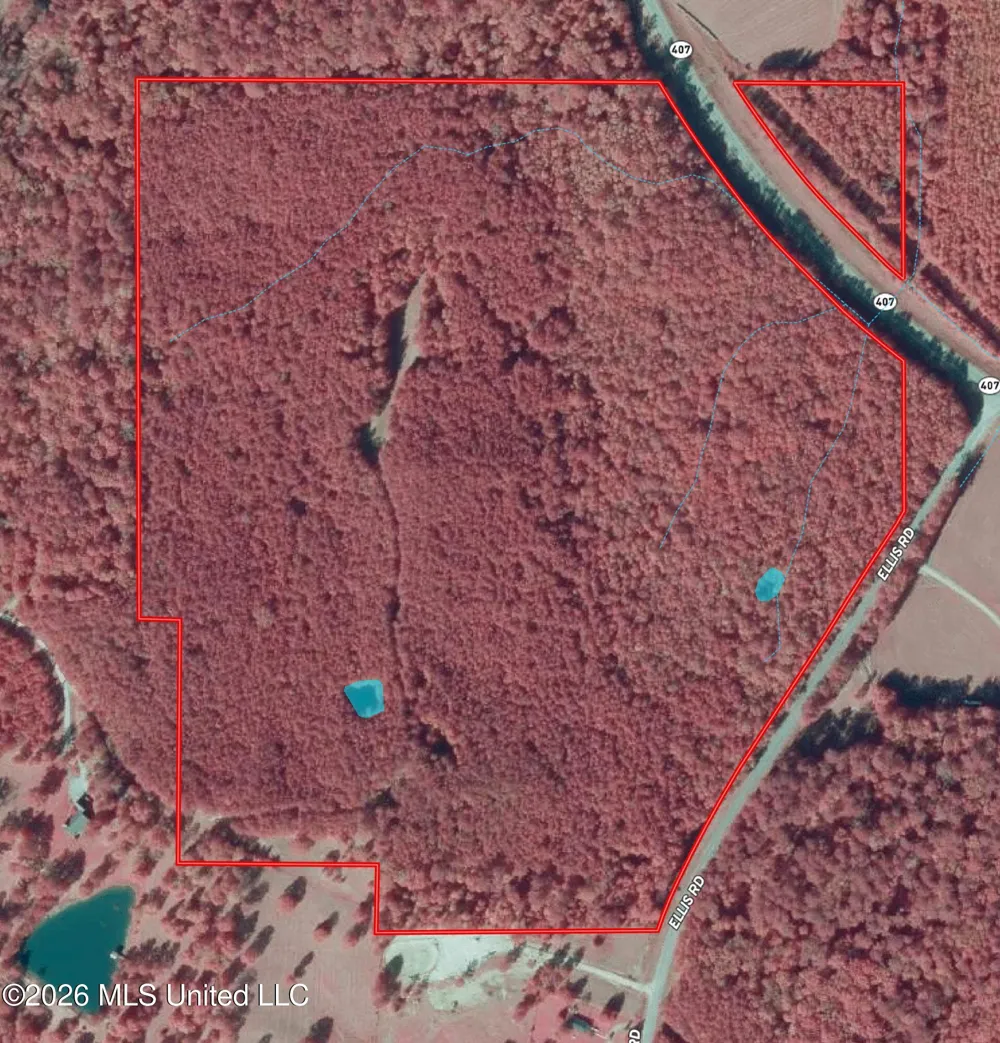 Highway 407 Kilmichael, MS 39747