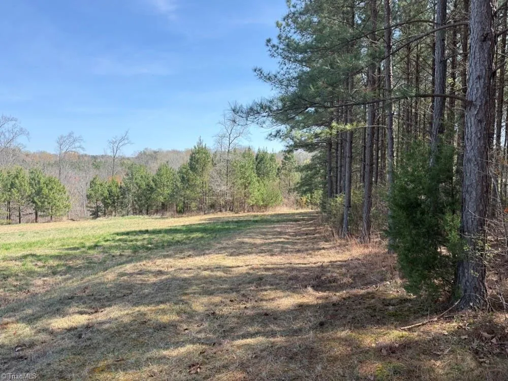 508 New Lebanon Church Road Reidsville, NC 27320