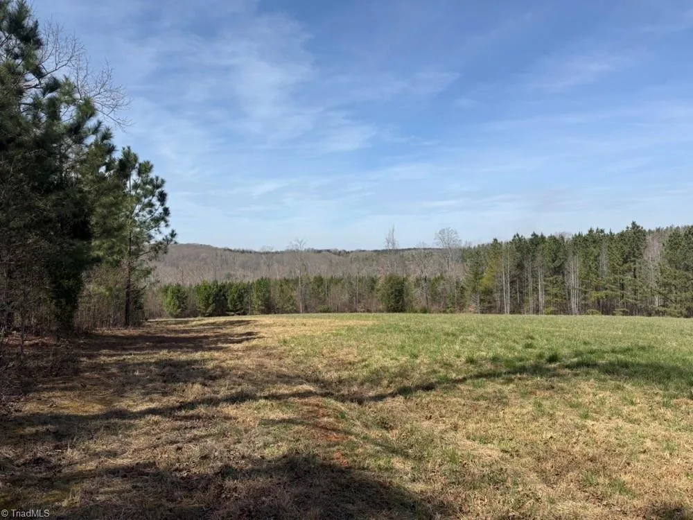 508 New Lebanon Church Road Reidsville, NC 27320