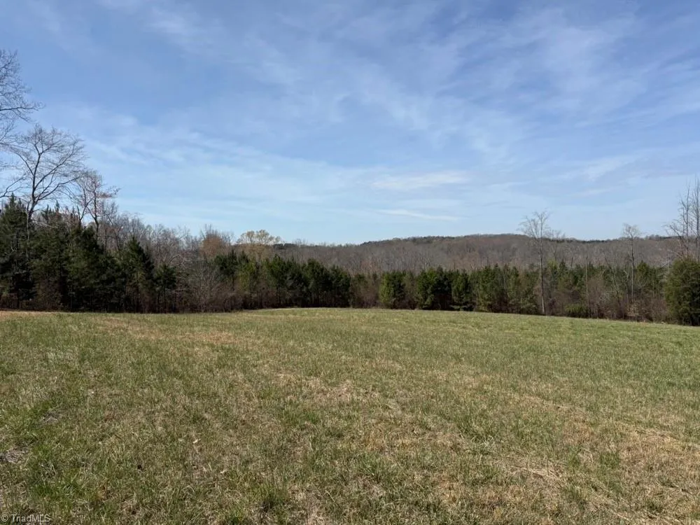 508 New Lebanon Church Road Reidsville, NC 27320