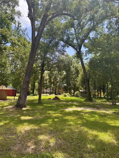 Elk Drive