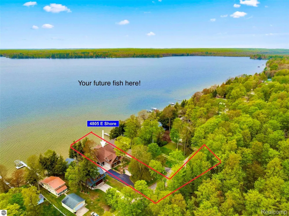 4805 E Shore Drive NE Coldsprings Township, MI 49646