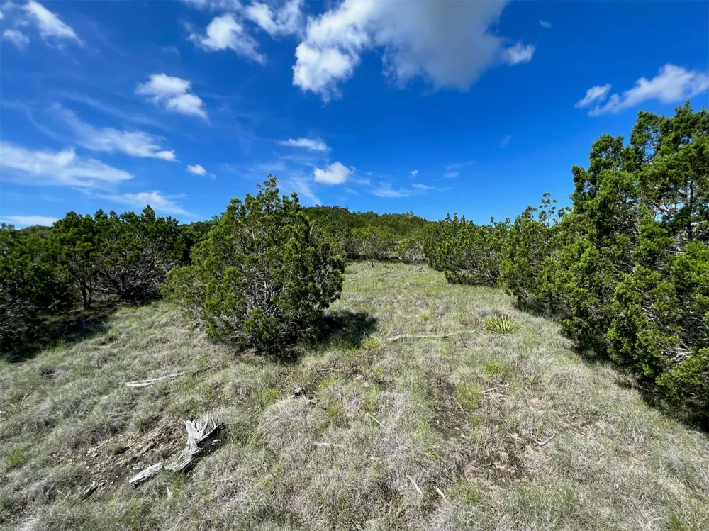 652 Wagon Wheel Trail Bertram, TX 78605