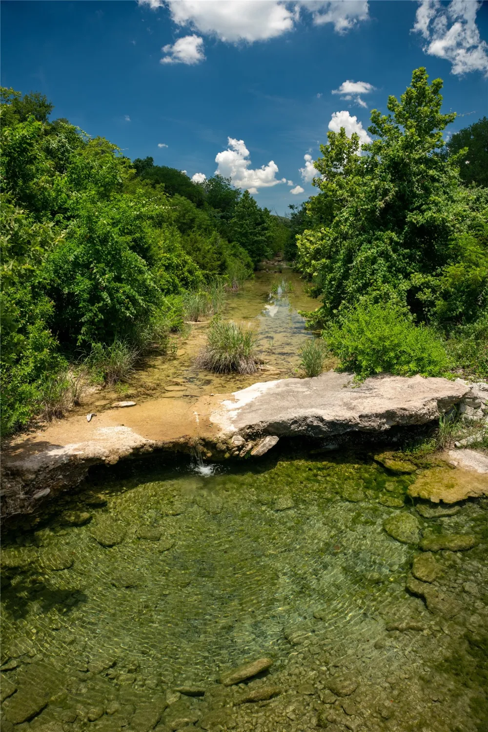 652 Wagon Wheel Trail Bertram, TX 78605