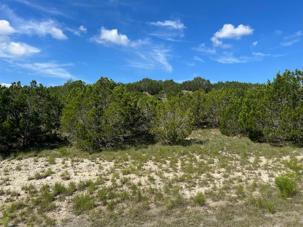 652 Wagon Wheel Trail Bertram, TX 78605