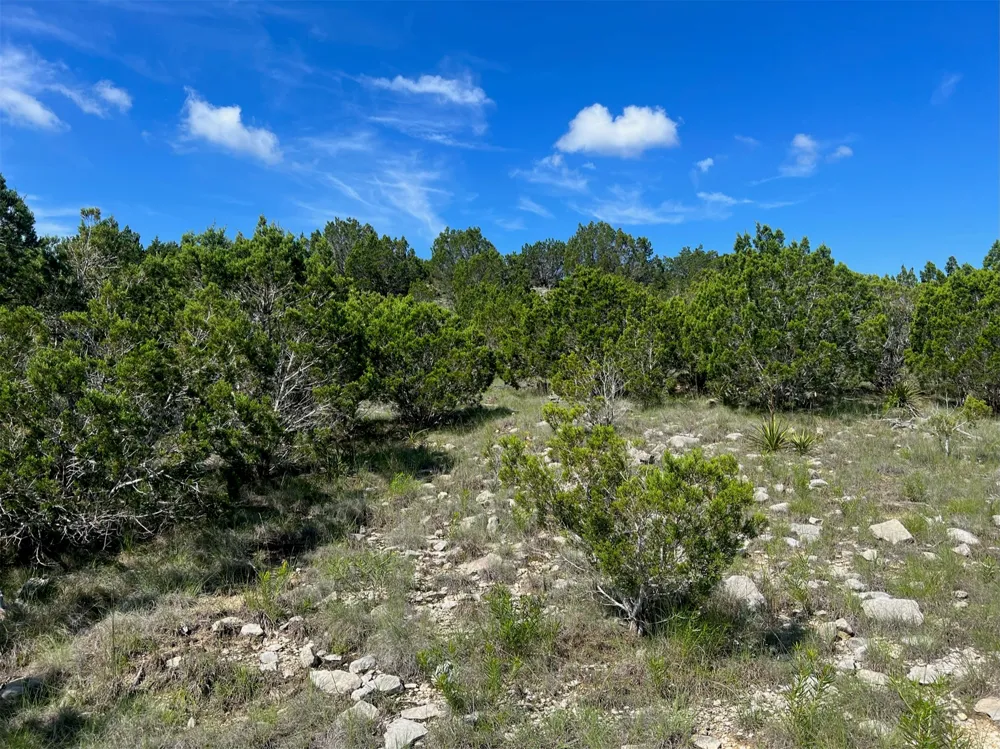 652 Wagon Wheel Trail Bertram, TX 78605