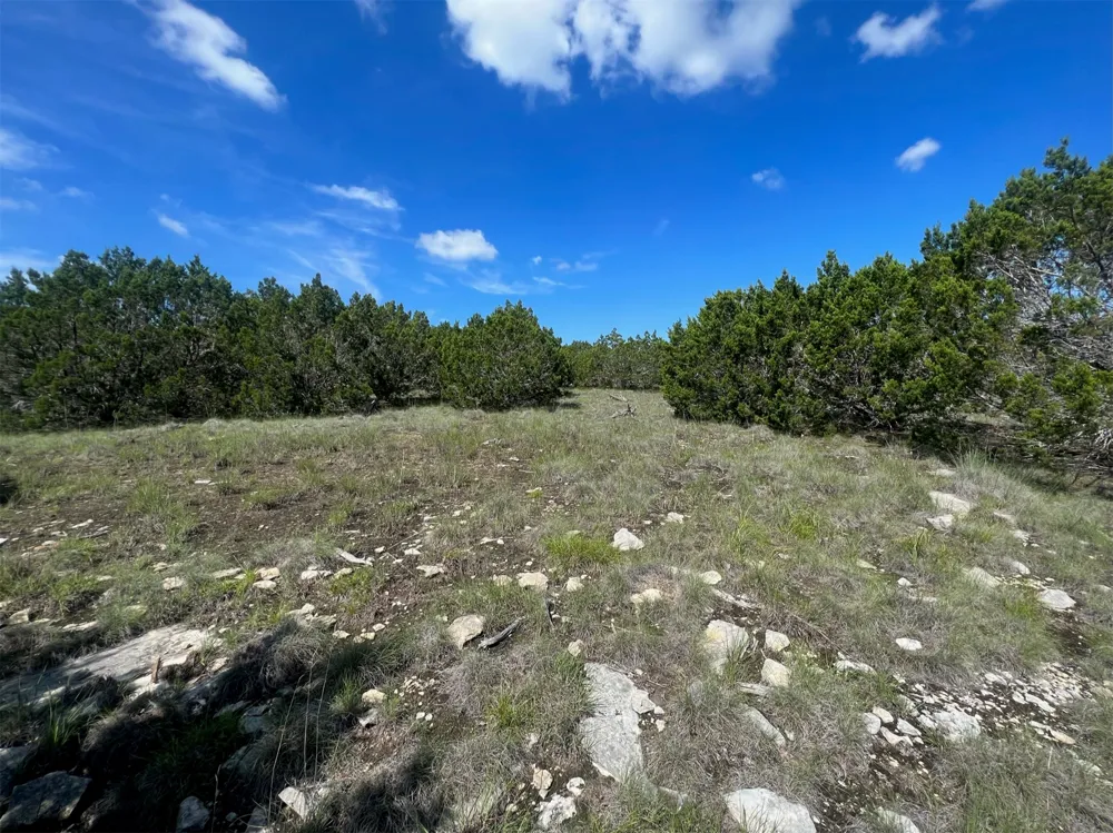 652 Wagon Wheel Trail Bertram, TX 78605