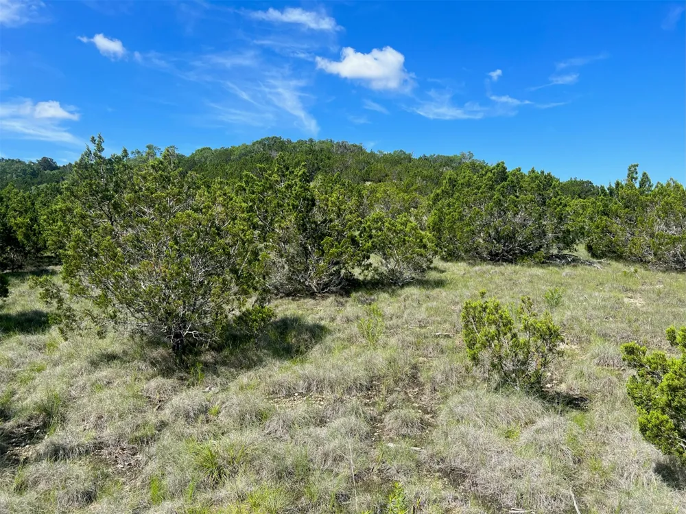 652 Wagon Wheel Trail Bertram, TX 78605
