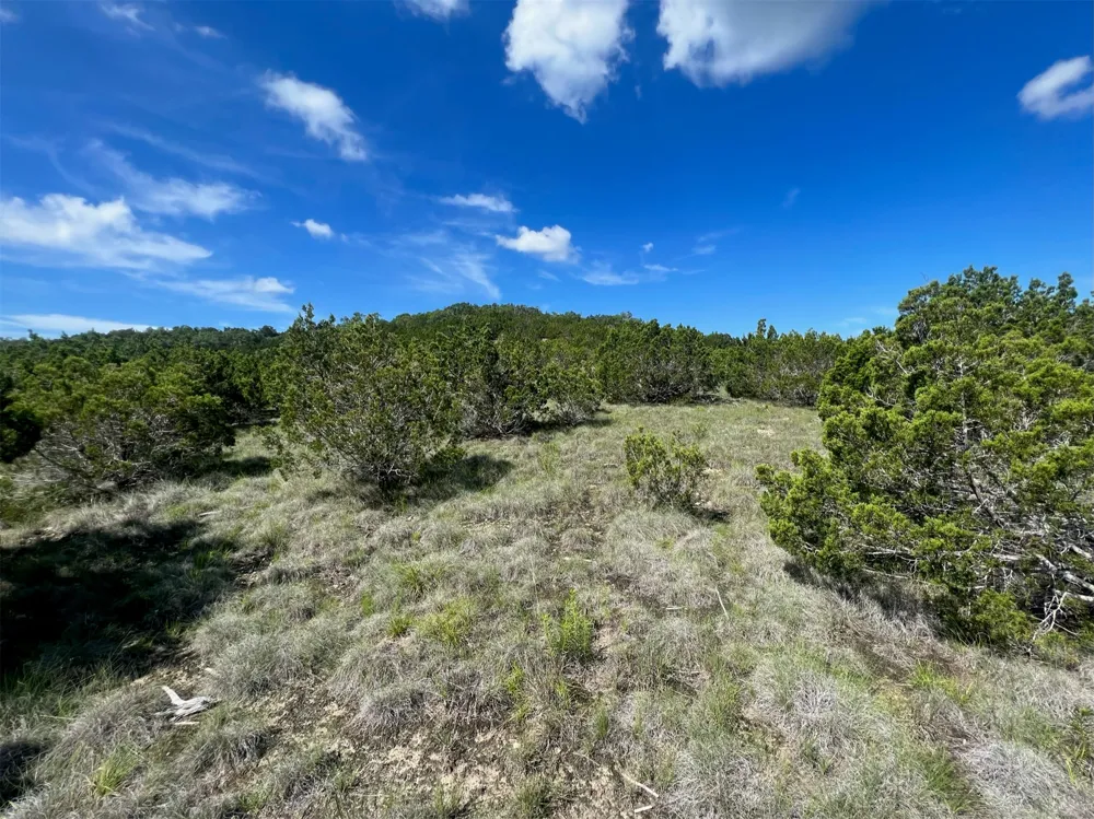 652 Wagon Wheel Trail Bertram, TX 78605