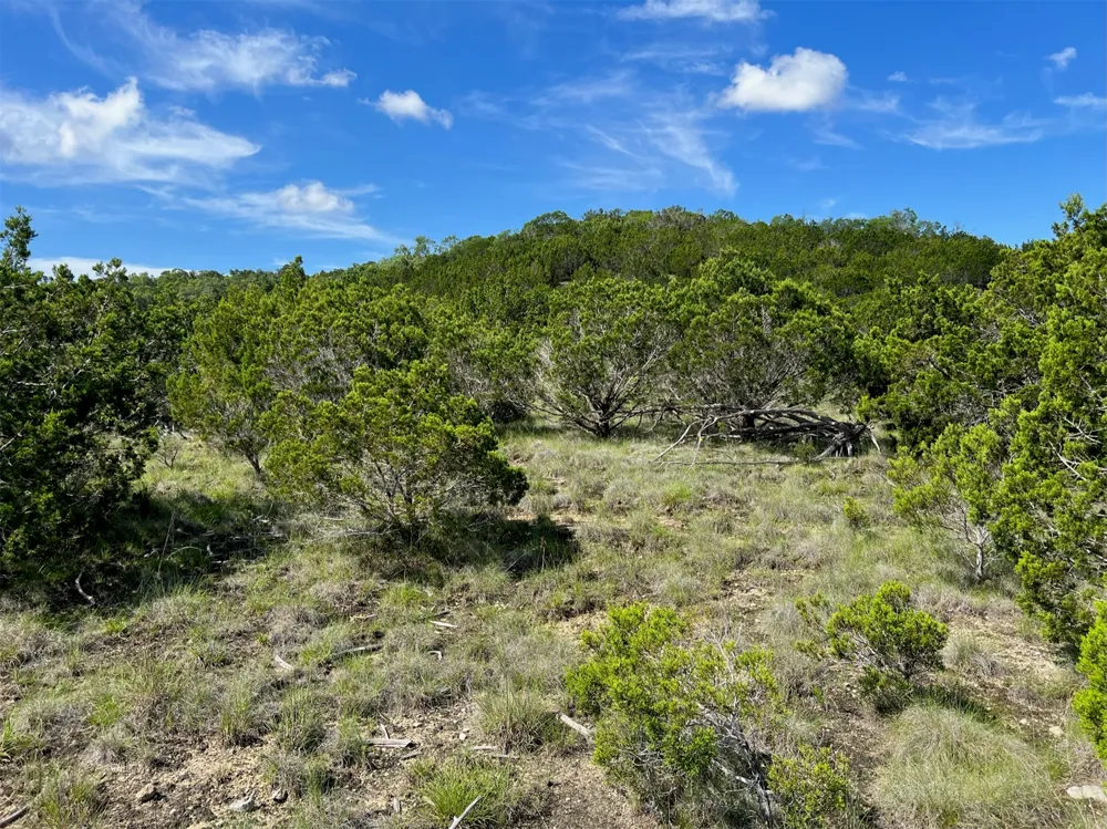 652 Wagon Wheel Trail Bertram, TX 78605