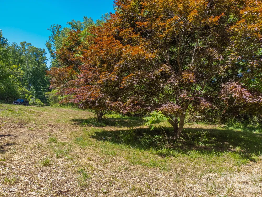 27 Shep Drive Mills River, NC 29759