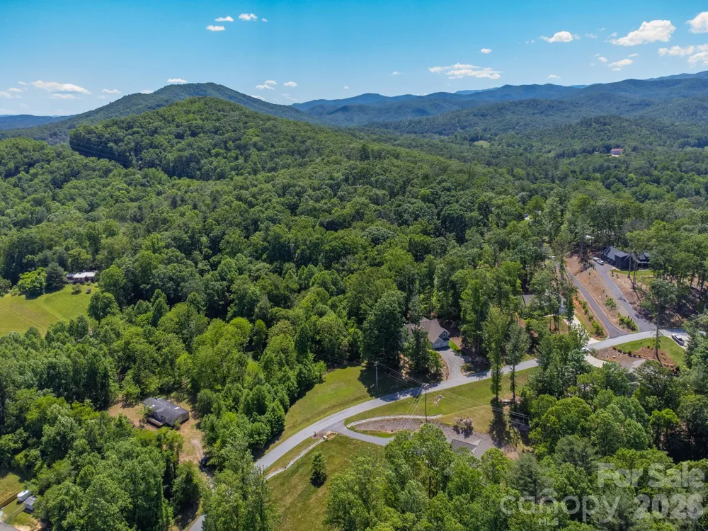 27 Shep Drive Mills River, NC 29759