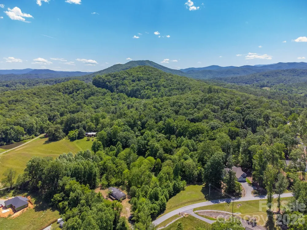 27 Shep Drive Mills River, NC 29759