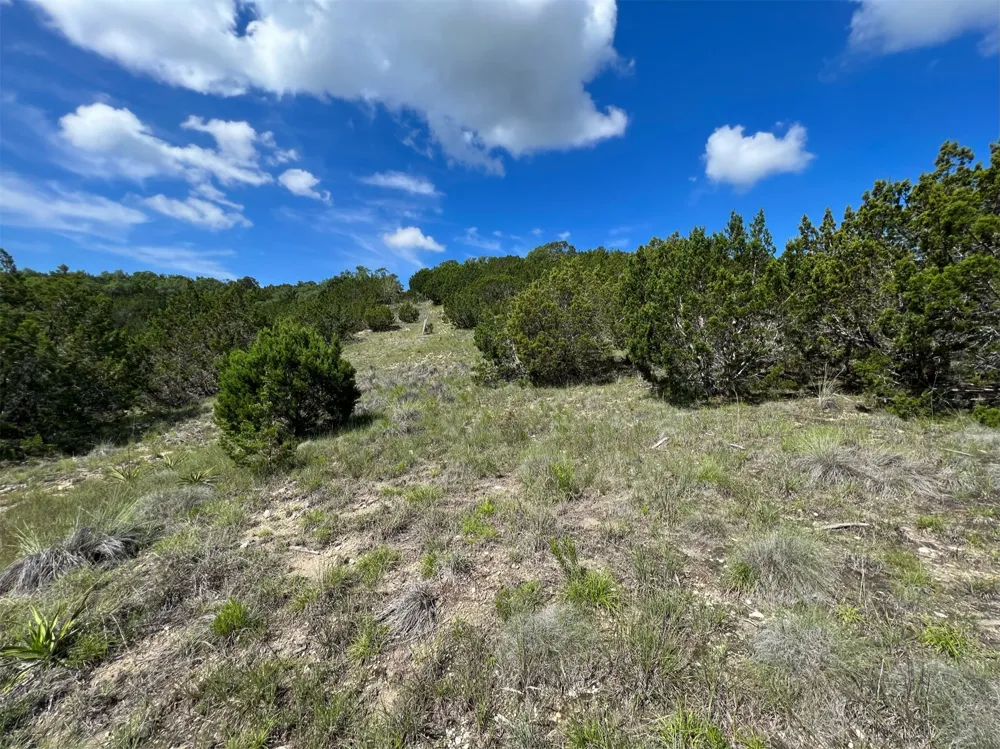 653 Wagon Wheel Trail Bertram, TX 78605