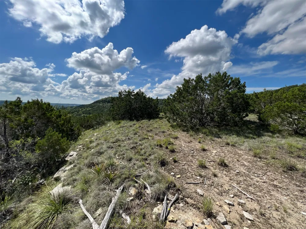 653 Wagon Wheel Trail Bertram, TX 78605