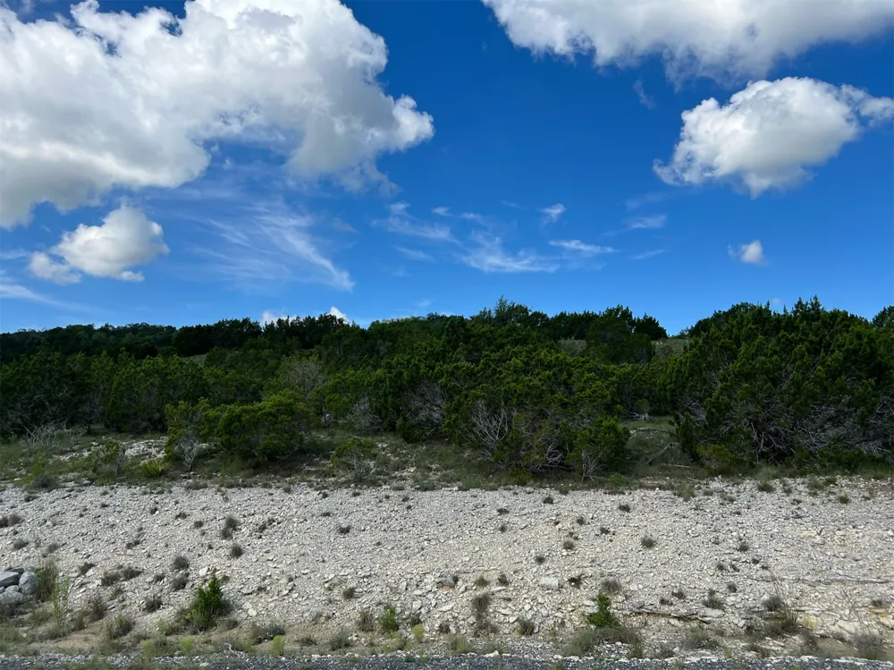 653 Wagon Wheel Trail Bertram, TX 78605