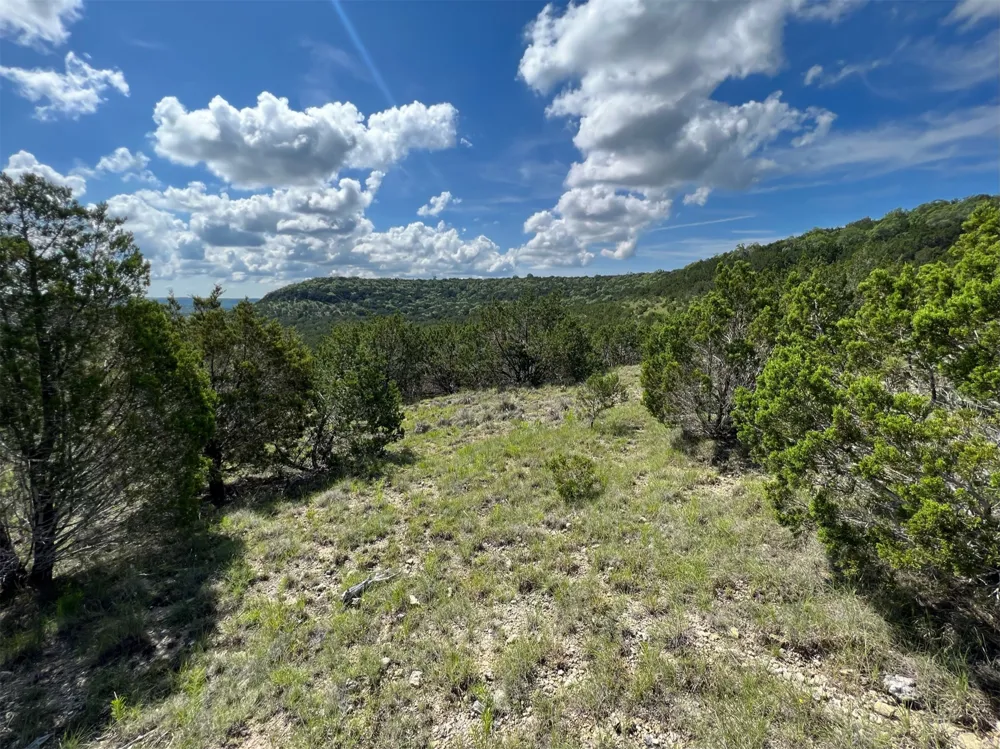 653 Wagon Wheel Trail Bertram, TX 78605
