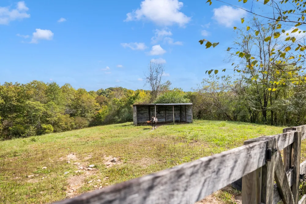 7997 Shoals Branch Rd Primm Springs, TN 38476