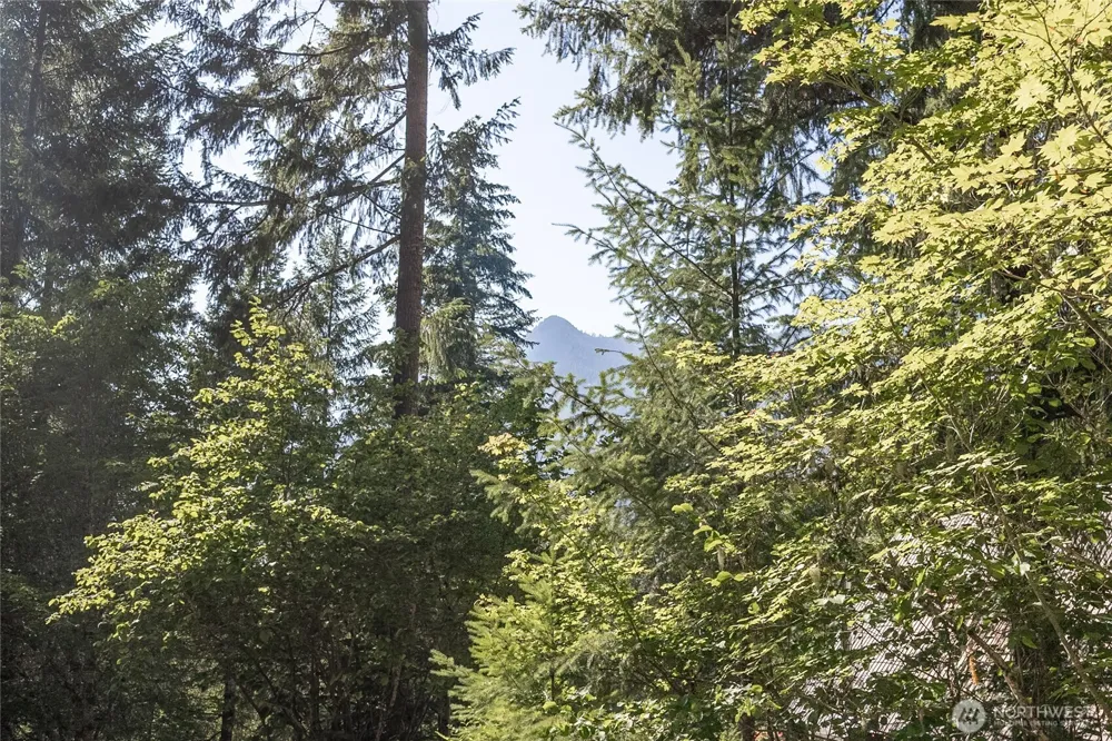 101 Cascade Drive Packwood, WA 98361