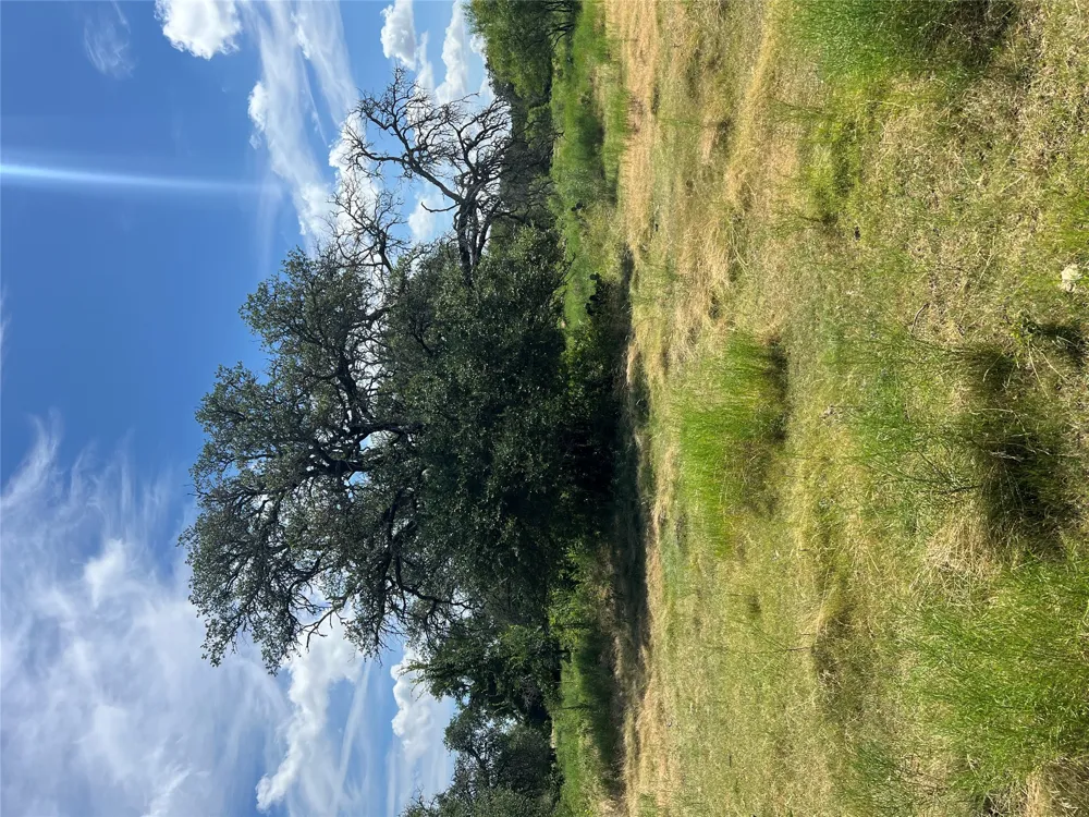 CR 200/ Shady Grove Road Bertram, TX 78605