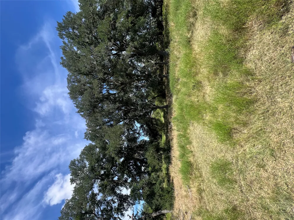 CR 200/ Shady Grove Road Bertram, TX 78605