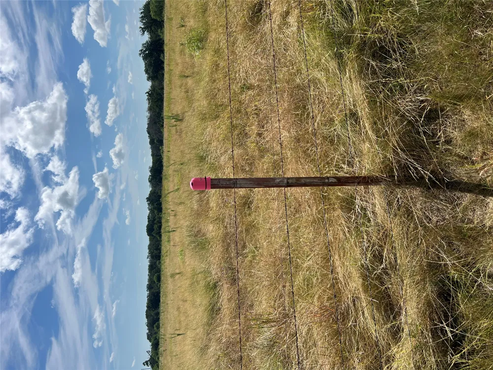 CR 200/ Shady Grove Road Bertram, TX 78605