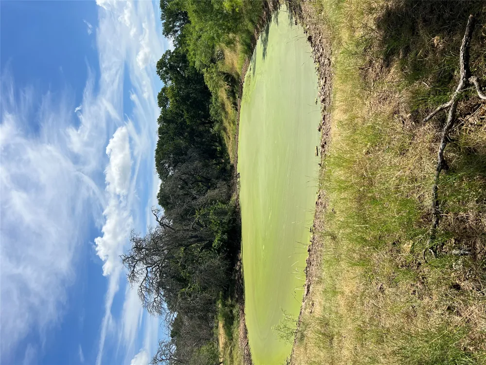 CR 200/ Shady Grove Road Bertram, TX 78605