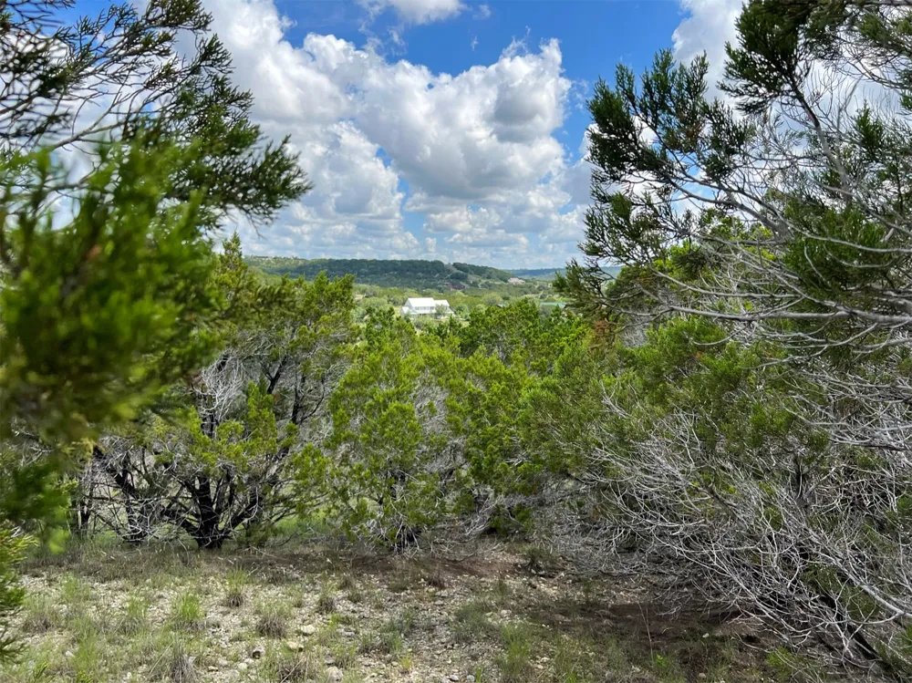 176 Suncrest Trail Bertram, TX 78605